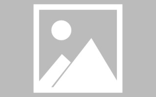 五指山类目查询素材网站（类目查询素材网站有哪些）